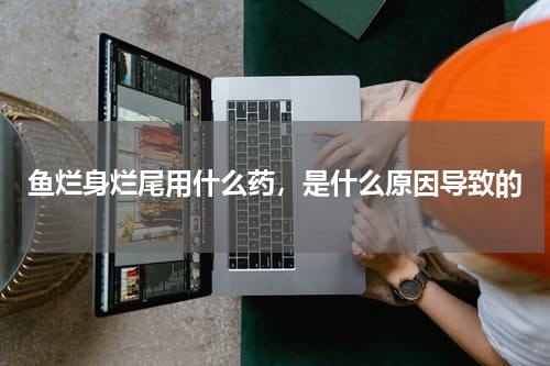 鱼烂身烂尾用什么药，是什么原因导致的