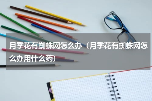 月季花有蜘蛛网怎么办（月季花有蜘蛛网怎么办用什么药）