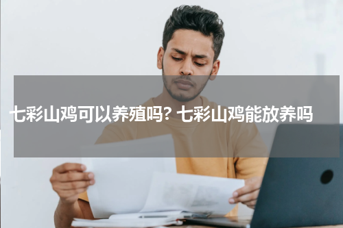 七彩山鸡可以养殖吗? 七彩山鸡能放养吗