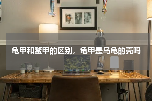 龟甲和鳖甲的区别，龟甲是乌龟的壳吗