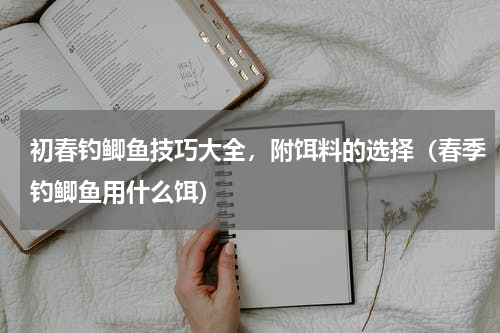 初春钓鲫鱼技巧大全，附饵料的选择（春季钓鲫鱼用什么饵）