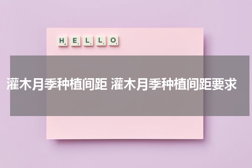 灌木月季种植间距 灌木月季种植间距要求