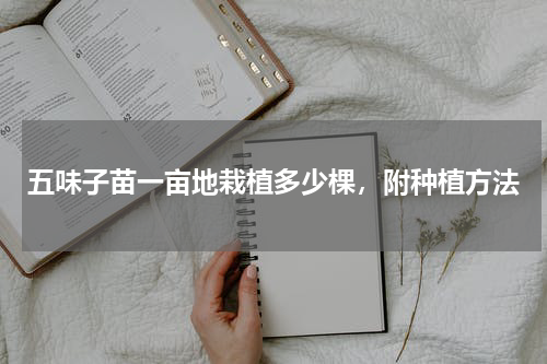 五味子苗一亩地栽植多少棵，附种植方法