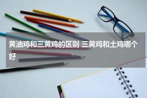 黄油鸡和三黄鸡的区别 三黄鸡和土鸡哪个好