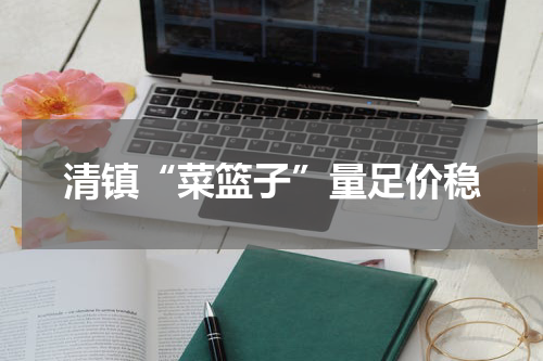 清镇“菜篮子”量足价稳
