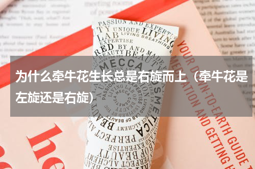 为什么牵牛花生长总是右旋而上（牵牛花是左旋还是右旋）