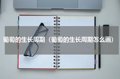 葡萄的生长周期（葡萄的生长周期怎么画）
