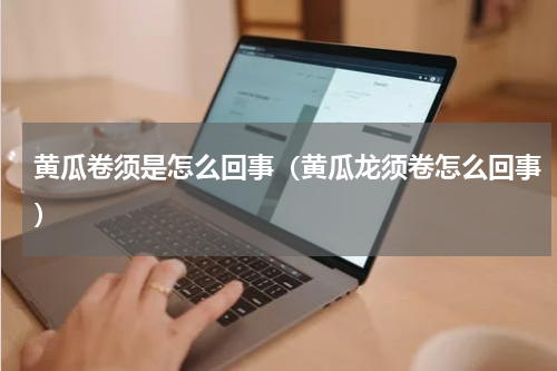 黄瓜卷须是怎么回事（黄瓜龙须卷怎么回事）