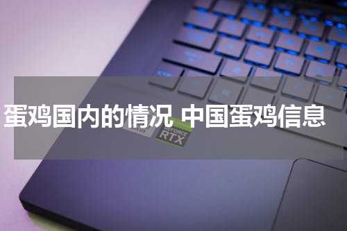 蛋鸡国内的情况 中国蛋鸡信息