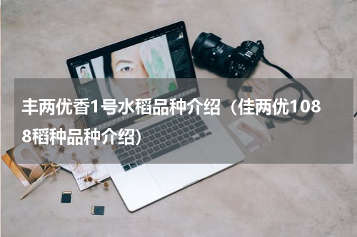 丰两优香1号水稻品种介绍（佳两优1088稻种品种介绍）