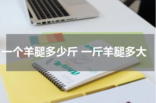 一个羊腿多少斤 一斤羊腿多大