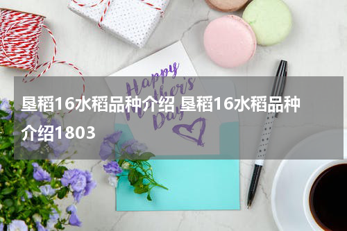 垦稻16水稻品种介绍 垦稻16水稻品种介绍1803