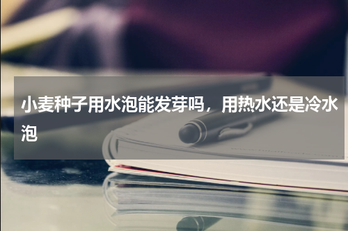 小麦种子用水泡能发芽吗，用热水还是冷水泡