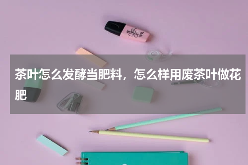 茶叶怎么发酵当肥料，怎么样用废茶叶做花肥