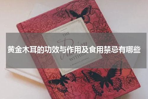 黄金木耳的功效与作用及食用禁忌有哪些