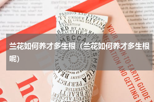 兰花如何养才多生根（兰花如何养才多生根呢）