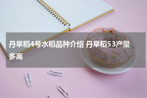 丹旱稻4号水稻品种介绍 丹旱稻53产量多高