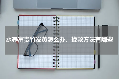 水养富贵竹发黄怎么办，挽救方法有哪些