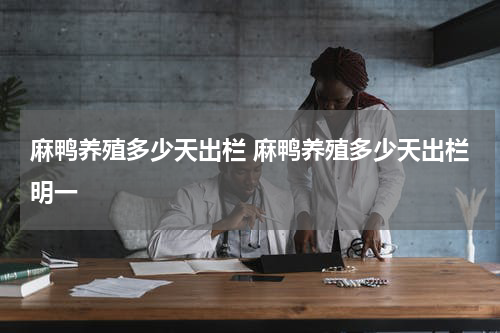 麻鸭养殖多少天出栏 麻鸭养殖多少天出栏明一