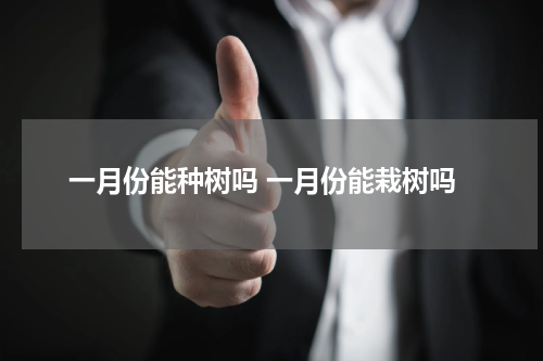 一月份能种树吗 一月份能栽树吗