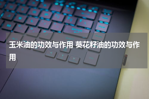 玉米油的功效与作用 葵花籽油的功效与作用