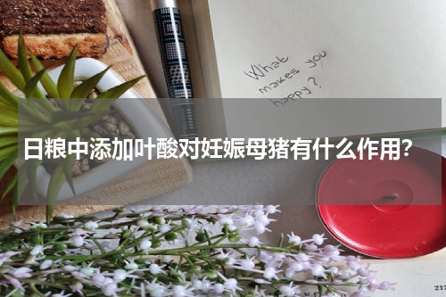 日粮中添加叶酸对妊娠母猪有什么作用？