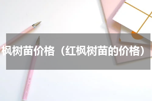 枫树苗价格（红枫树苗的价格）