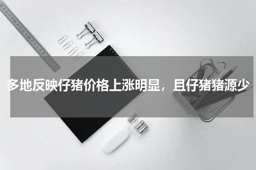 多地反映仔猪价格上涨明显，且仔猪猪源少