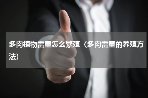 多肉植物雷童怎么繁殖（多肉雷童的养殖方法）
