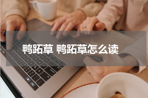 鸭跖草 鸭跖草怎么读