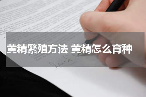 黄精繁殖方法 黄精怎么育种