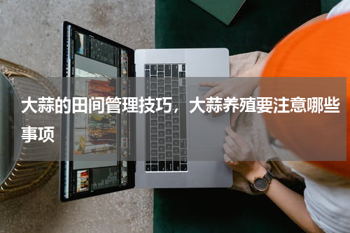 大蒜的田间管理技巧，大蒜养殖要注意哪些事项