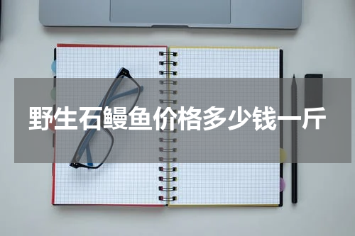 野生石鳗鱼价格多少钱一斤