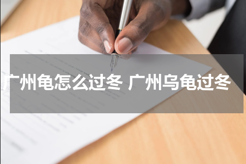 广州龟怎么过冬 广州乌龟过冬