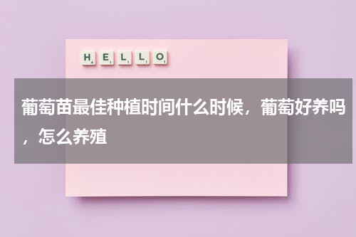 葡萄苗最佳种植时间什么时候，葡萄好养吗，怎么养殖