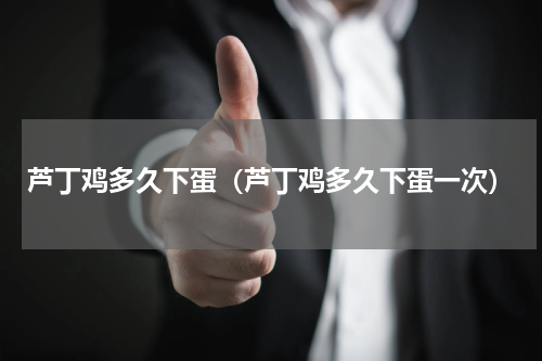 芦丁鸡多久下蛋（芦丁鸡多久下蛋一次）