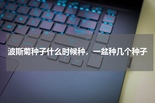 波斯菊种子什么时候种，一盆种几个种子