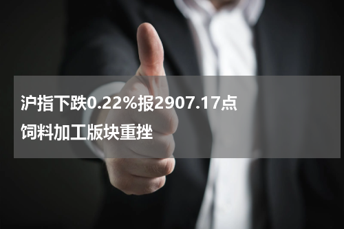 沪指下跌0.22%报2907.17点 饲料加工版块重挫