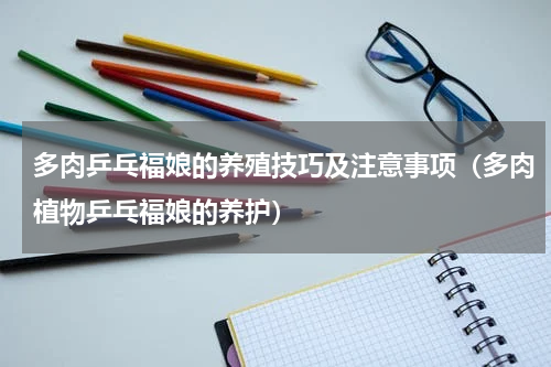 多肉乒乓福娘的养殖技巧及注意事项（多肉植物乒乓福娘的养护）