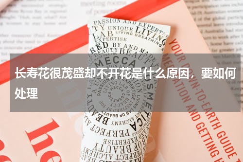 长寿花很茂盛却不开花是什么原因，要如何处理