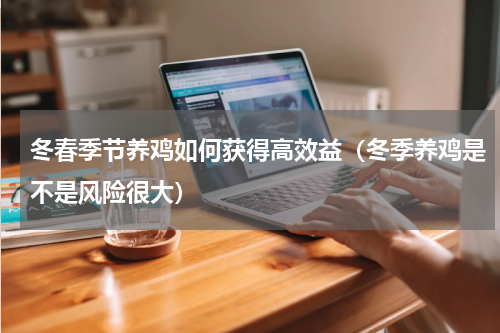冬春季节养鸡如何获得高效益（冬季养鸡是不是风险很大）