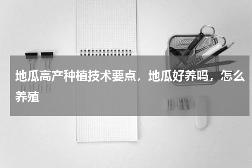 地瓜高产种植技术要点，地瓜好养吗，怎么养殖