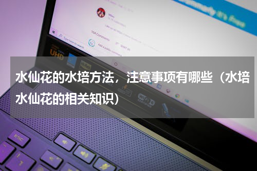 水仙花的水培方法，注意事项有哪些（水培水仙花的相关知识）