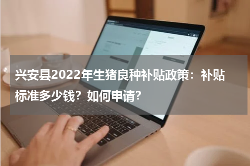 兴安县2022年生猪良种补贴政策：补贴标准多少钱？如何申请？
