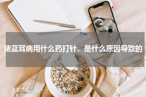 猪蓝耳病用什么药打针，是什么原因导致的
