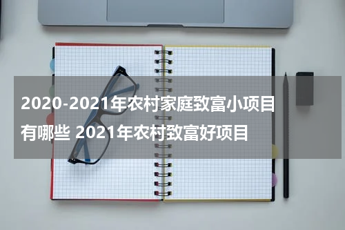 2020-2021年农村家庭致富小项目有哪些 2021年农村致富好项目