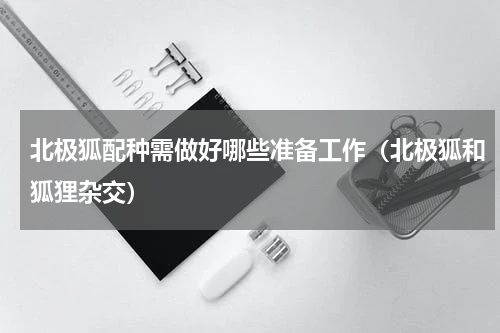 北极狐配种需做好哪些准备工作（北极狐和狐狸杂交）