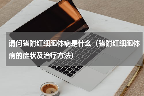 请问猪附红细胞体病是什么（猪附红细胞体病的症状及治疗方法）