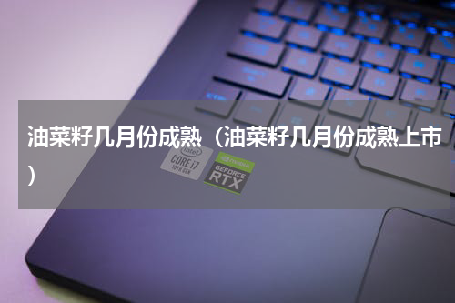 油菜籽几月份成熟（油菜籽几月份成熟上市）