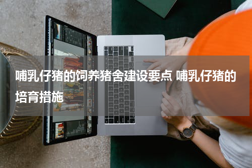 哺乳仔猪的饲养猪舍建设要点 哺乳仔猪的培育措施